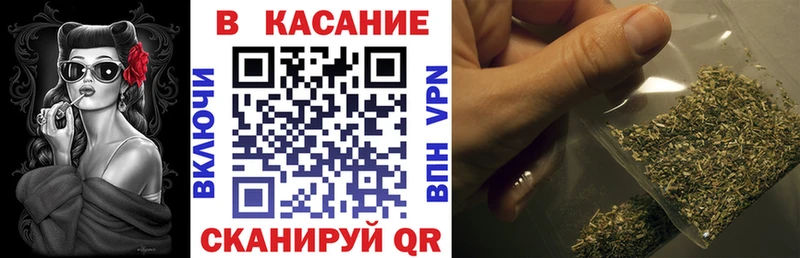 Купить закладку Псилоцибиновые грибы  COCAIN  ГАШИШ  Меф  Бошки Шишки  Новоржев