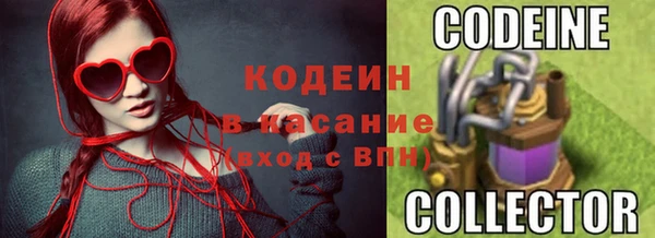 ГАЛЛЮЦИНОГЕННЫЕ ГРИБЫ Михайлов