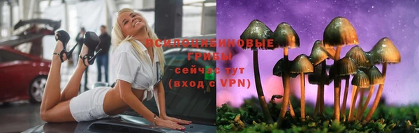 ГАЛЛЮЦИНОГЕННЫЕ ГРИБЫ Михайлов