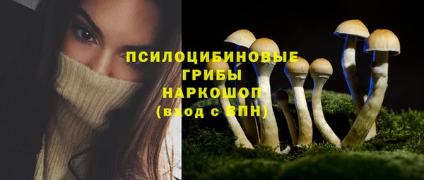 хмурый Михайловка