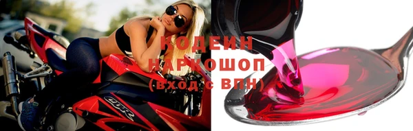 ГАЛЛЮЦИНОГЕННЫЕ ГРИБЫ Михайлов