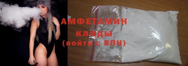 ГАЛЛЮЦИНОГЕННЫЕ ГРИБЫ Михайлов