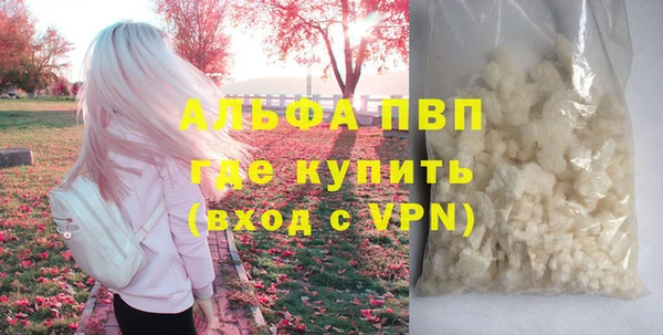 ГАЛЛЮЦИНОГЕННЫЕ ГРИБЫ Михайлов