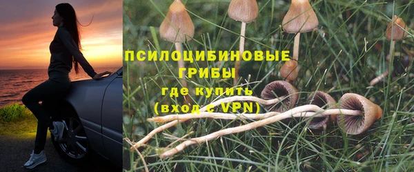 хмурый Михайловка