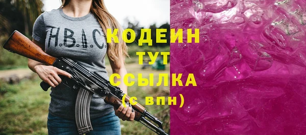 ГАЛЛЮЦИНОГЕННЫЕ ГРИБЫ Михайлов